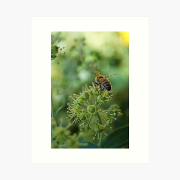Inner City Buzz Art Print