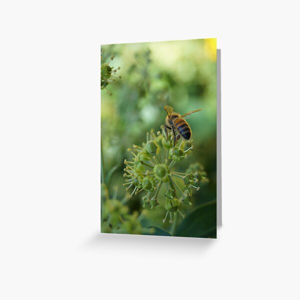 Inner City Buzz Greeting Card