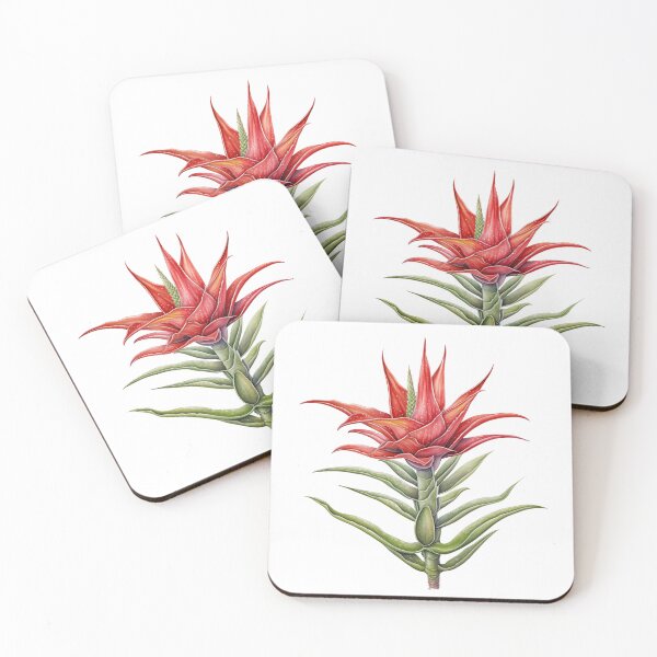 Item preview, Aloe Vera The Natural Healer designed and sold by Artcurrents.