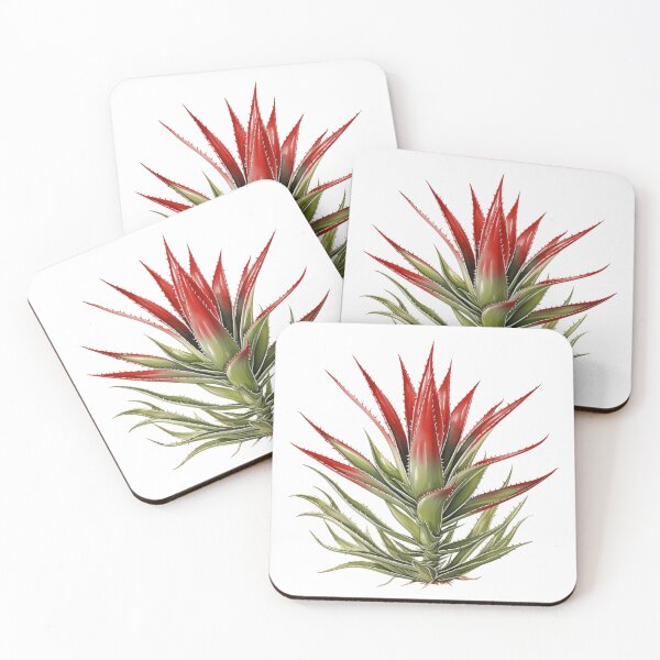 Item preview, Aloe Vera The Ultimate Beauty Flower designed and sold by Artcurrents.