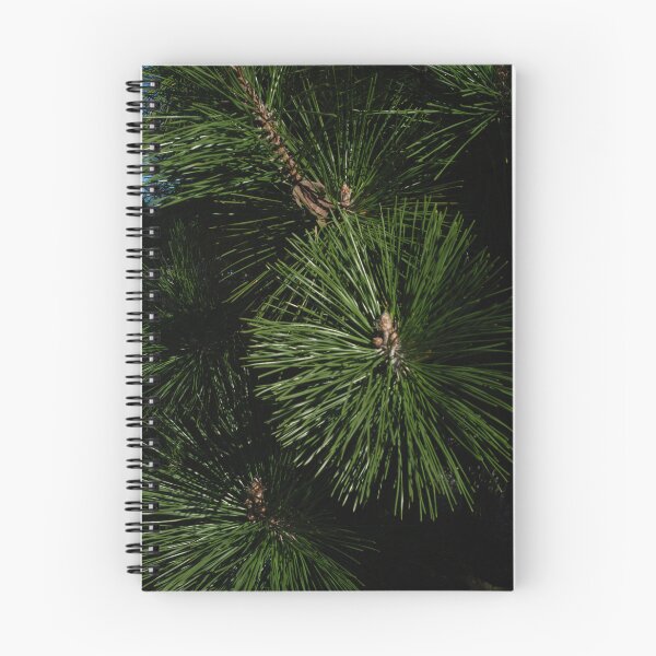 Item preview, Pine  designed and sold by Ktbee83.