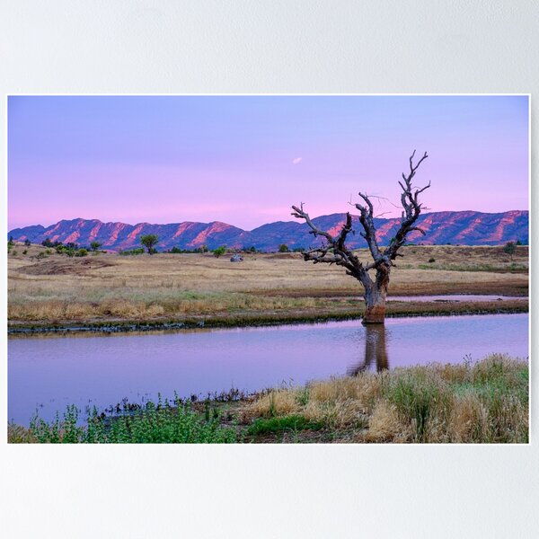 Item preview, Outback Dawn 1 designed and sold by Ray's Photos & Art.