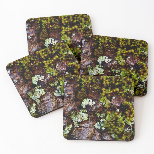 Item preview, Winter Moss Crustose Lichen Tree Bark Yosemite Nature Photography designed and sold by HippieFarms11.