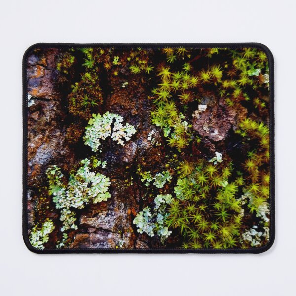 Item preview, Winter Moss Crustose Lichen Tree Bark Yosemite Nature Photography designed and sold by HippieFarms11.