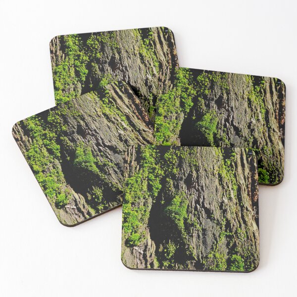 Item preview, Mossy Cedar Tree Bark Growing In Yosemite Nature Photography designed and sold by HippieFarms11.