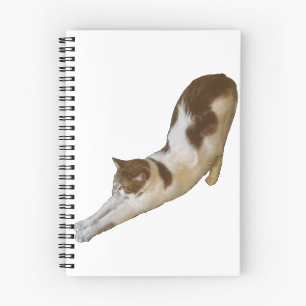 Item preview, Cat Called Pumpkin Big Stretch! designed and sold by PumpkinsMomb.