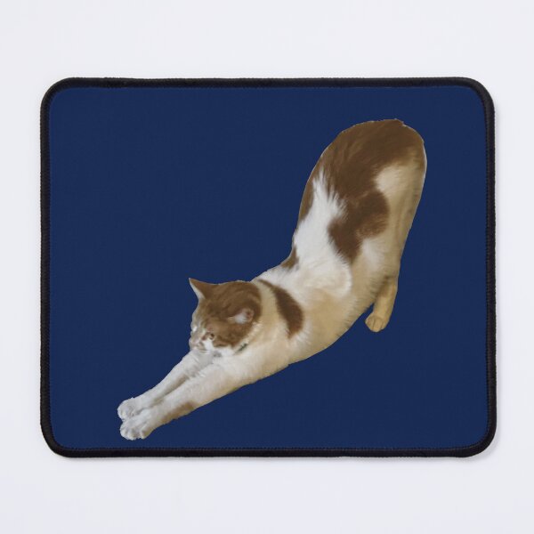 Item preview, Cat Called Pumpkin Big Stretch! designed and sold by PumpkinsMomb.