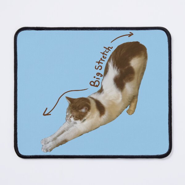 Item preview, Cat Called Pumpkin Big Stretch with text! designed and sold by PumpkinsMomb.
