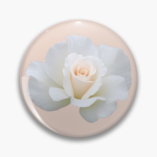 Item preview, A Beautiful Delicate White Rose on Pink designed and sold by STHogan2.
