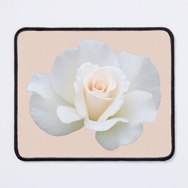 Item preview, A Beautiful Delicate White Rose on Pink designed and sold by STHogan2.