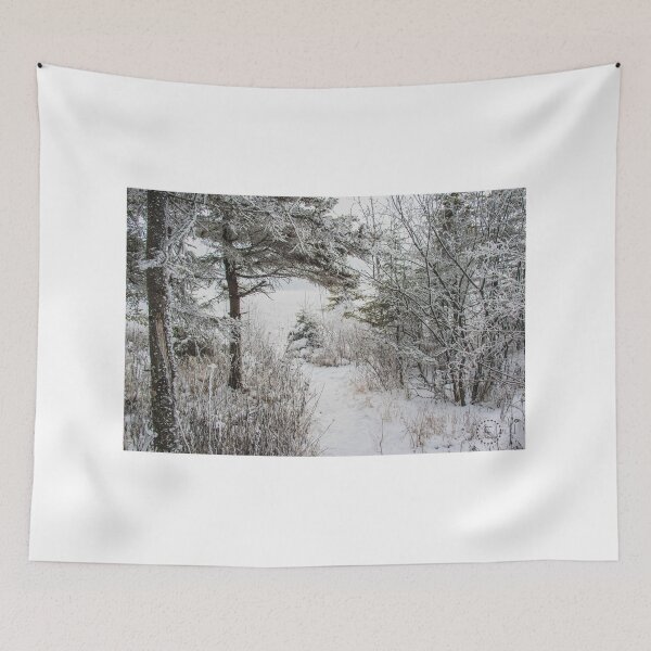 Item preview, Winter Trail to Lake Superior, Minnesota designed and sold by Arielle S.
