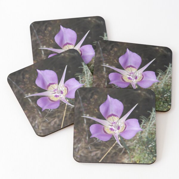 Item preview, Sagebrush Mariposa Lily (Calochortus macrocarpus var. macrocarpus) in Eastern Washington designed and sold by The Botanical Jason.