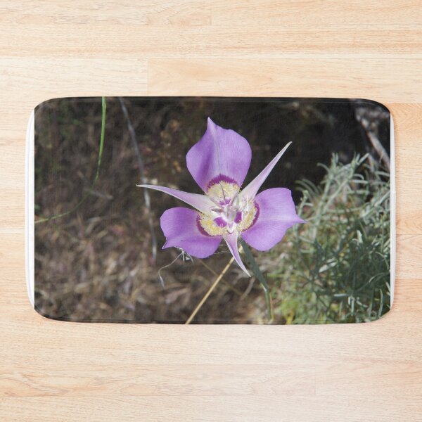 Item preview, Sagebrush Mariposa Lily (Calochortus macrocarpus var. macrocarpus) in Eastern Washington designed and sold by The Botanical Jason.