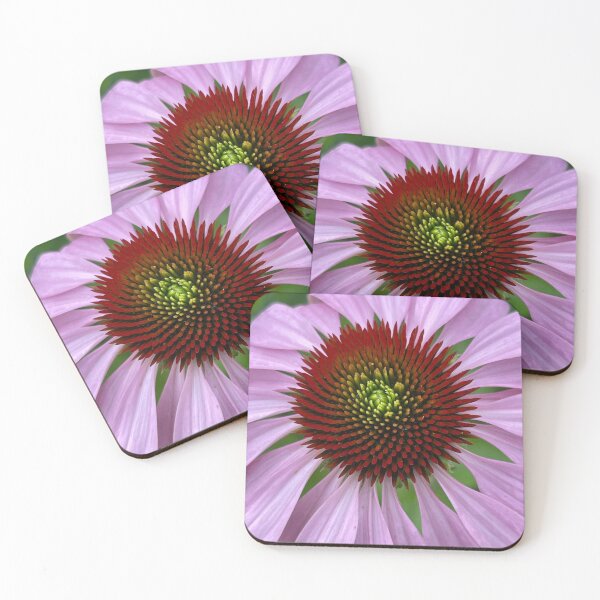 Item preview, Purple Cone Flower Photo  designed and sold by TheGlassPortal.