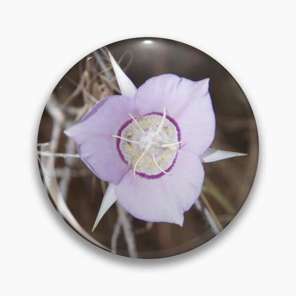 Item preview, Sagebrush Mariposa Lily (Calochortus macrocarpus var. macrocarpus) in Eastern Washington designed and sold by The Botanical Jason.