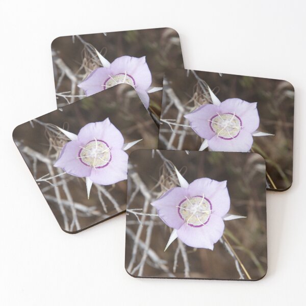 Item preview, Sagebrush Mariposa Lily (Calochortus macrocarpus var. macrocarpus) in Eastern Washington designed and sold by The Botanical Jason.
