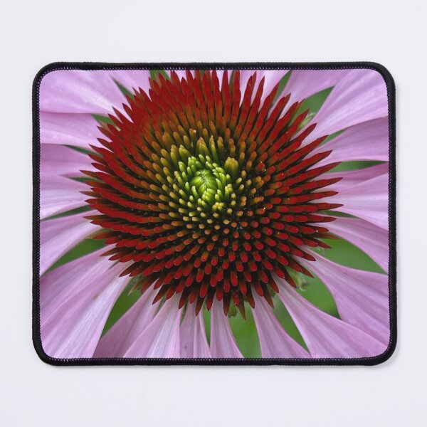 Item preview, Purple Cone Flower Photo  designed and sold by TheGlassPortal.