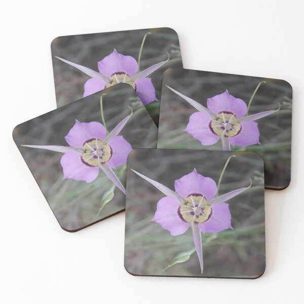 Item preview, Sagebrush Mariposa Lily (Calochortus macrocarpus var. macrocarpus) in Eastern Washington designed and sold by The Botanical Jason.