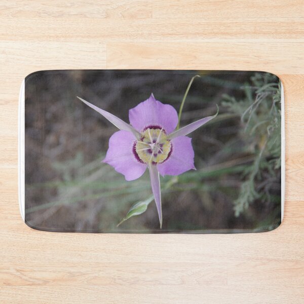 Item preview, Sagebrush Mariposa Lily (Calochortus macrocarpus var. macrocarpus) in Eastern Washington designed and sold by The Botanical Jason.