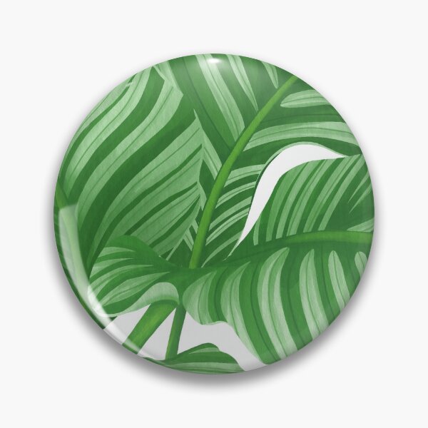 Item preview, calathea orbifolia flower painting illustration designed and sold by innni.