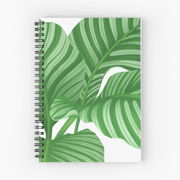 Item preview, calathea orbifolia flower painting illustration designed and sold by innni.