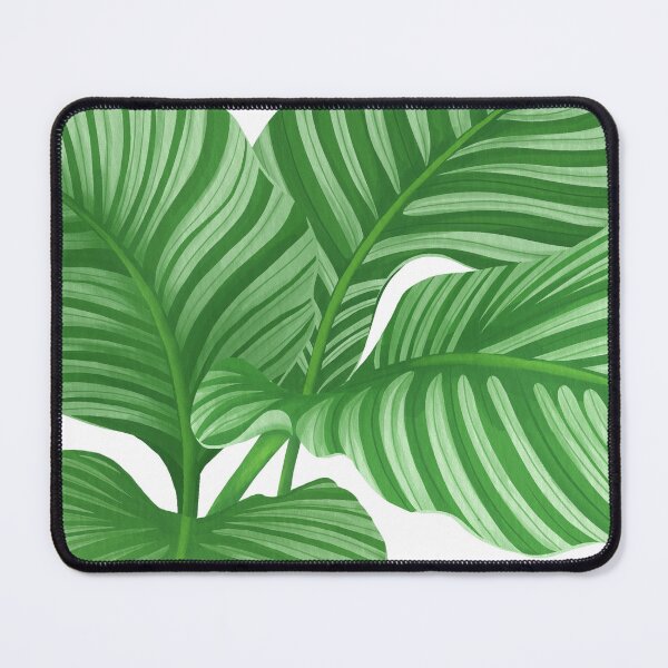 Item preview, calathea orbifolia flower painting illustration designed and sold by innni.