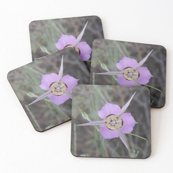 Item preview, Sagebrush Mariposa Lily (Calochortus macrocarpus var. macrocarpus) in Eastern Washington designed and sold by The Botanical Jason.