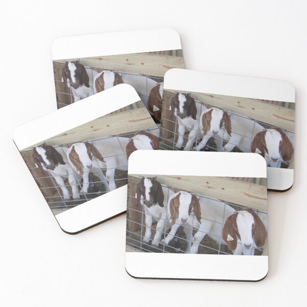 Item preview, Moe, Larry & Curly designed and sold by Simple Joys Photography.