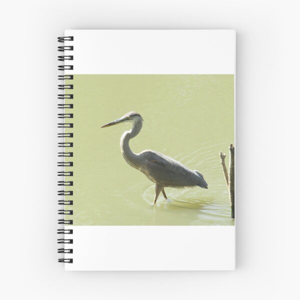Item preview, Heron Strut designed and sold by Simple Joys Photography.