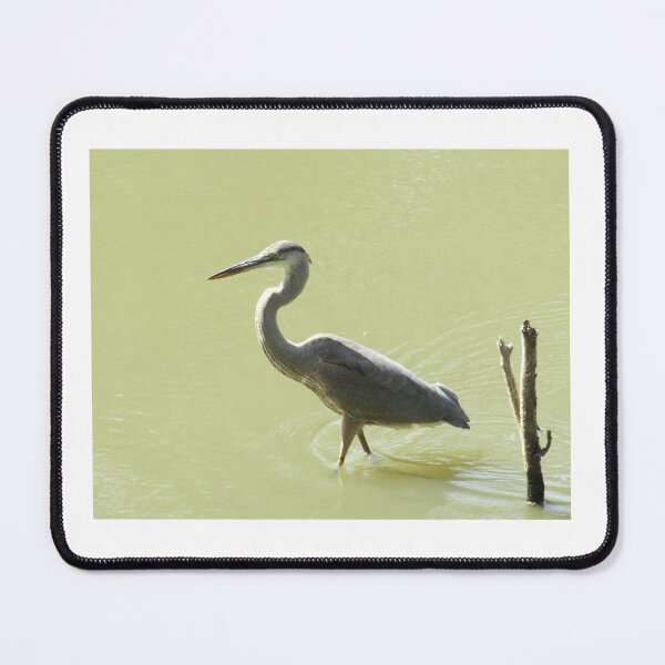Item preview, Heron Strut designed and sold by Simple Joys Photography.