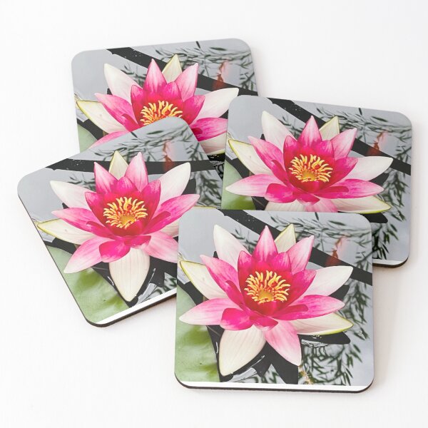 Item preview, Water Lily Photo, at my house, in Asheville, NC designed and sold by TheGlassPortal.