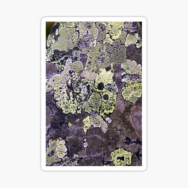 Item preview, lichen designed and sold by KathleenDawson.