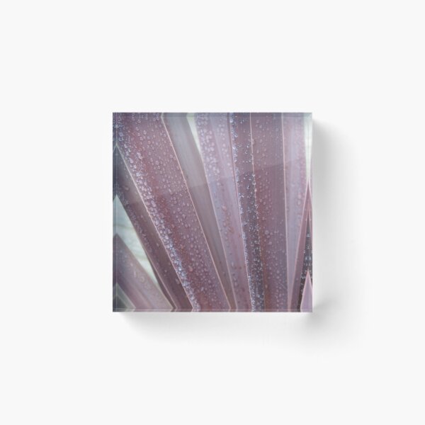 Item preview, Raindrops On Cordyline Spears designed and sold by lezvee.