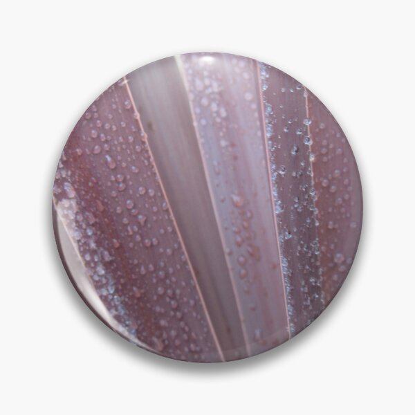 Item preview, Raindrops On Cordyline Spears designed and sold by lezvee.