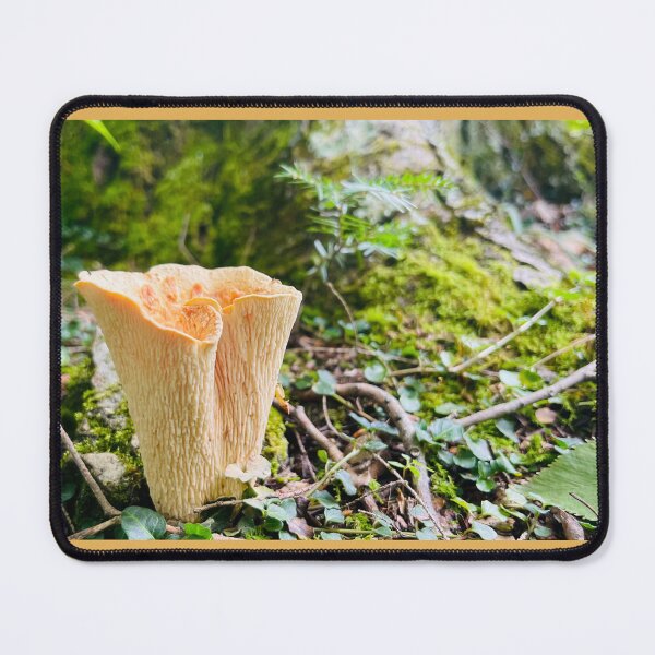 Item preview, Turbinellus floccosus, scaly vase, shaggy chanterelle mushroom photo designed and sold by TheGlassPortal.