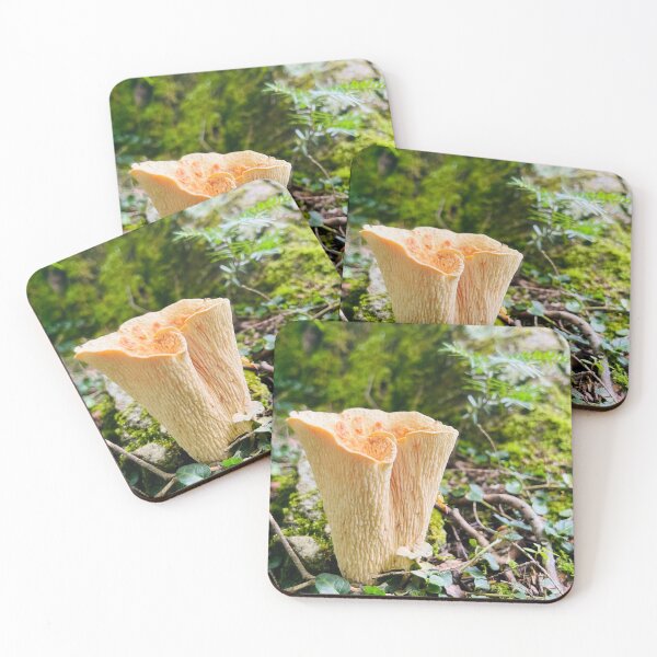 Item preview, Turbinellus floccosus, scaly vase, shaggy chanterelle mushroom photo  designed and sold by TheGlassPortal.