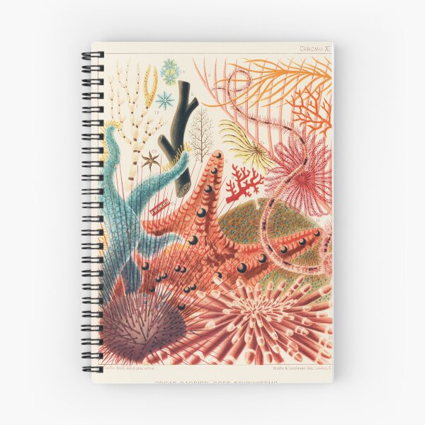 Item preview, Great Barrier Reef Echinoderms from The Great Barrier Reef of Australia (1893) designed and sold by TheHappyK.