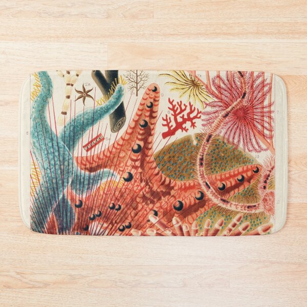 Item preview, Great Barrier Reef Echinoderms from The Great Barrier Reef of Australia (1893) designed and sold by TheHappyK.