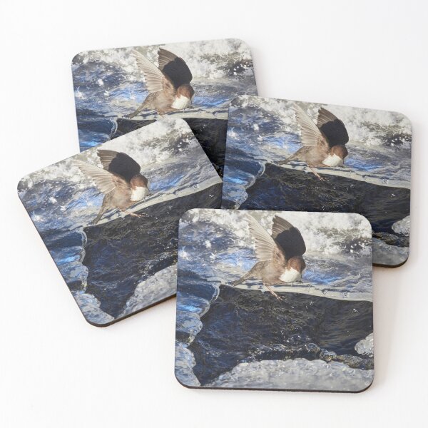 Item preview, Slippery. White-throated dipper designed and sold by Jouko Lehto Photography.