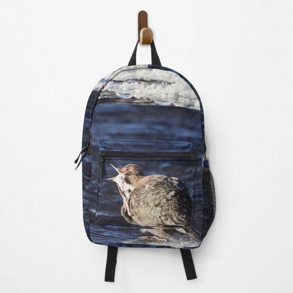 Item preview, Itch and Scratch. White-throated dipper designed and sold by Jouko Lehto Photography.