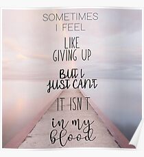 Shawn mendes Poster