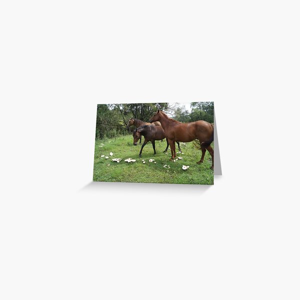 Ponys at the Mushroom Ring Greeting Card