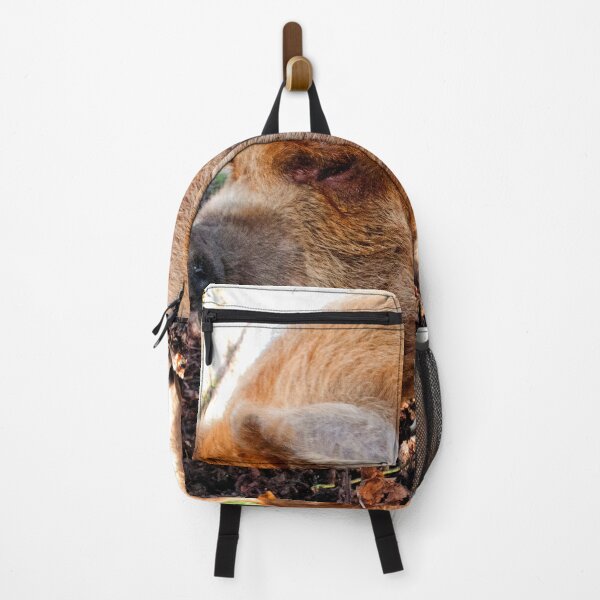 Item preview, New Zealand Kunekune Pig designed and sold by AndyEvansPhotos.