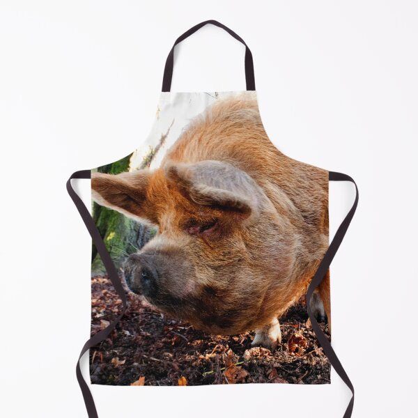 Item preview, New Zealand Kunekune Pig designed and sold by AndyEvansPhotos.