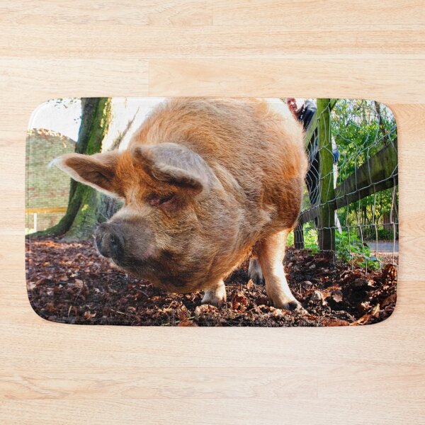 Item preview, New Zealand Kunekune Pig designed and sold by AndyEvansPhotos.