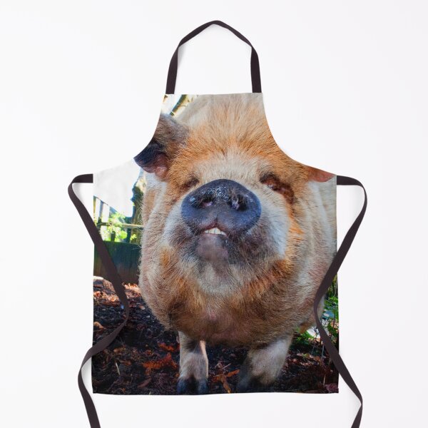 Item preview, New Zealand Kunekune Pig designed and sold by AndyEvansPhotos.