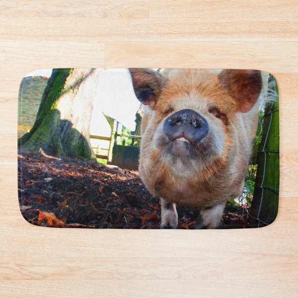 Item preview, New Zealand Kunekune Pig designed and sold by AndyEvansPhotos.