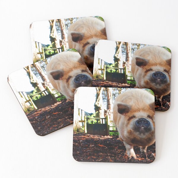 Item preview, New Zealand Kunekune Pig designed and sold by AndyEvansPhotos.