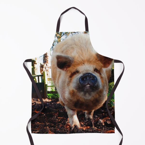Item preview, New Zealand Kunekune Pig designed and sold by AndyEvansPhotos.