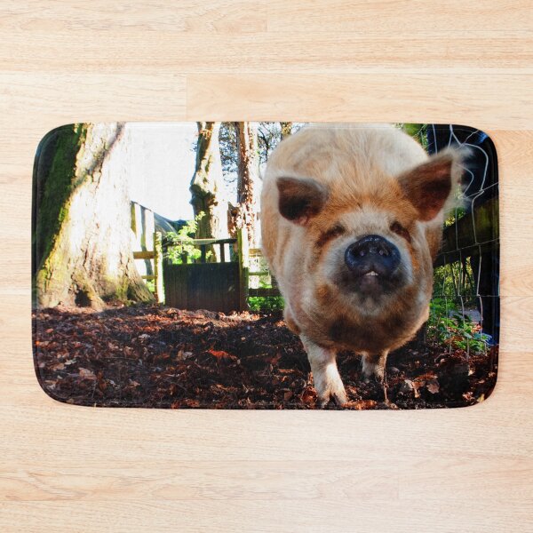 Item preview, New Zealand Kunekune Pig designed and sold by AndyEvansPhotos.